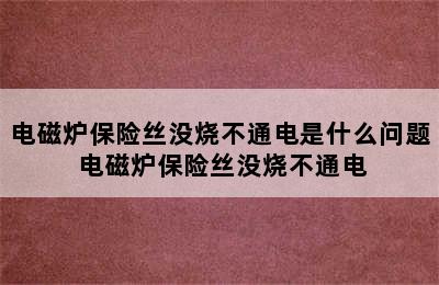 电磁炉保险丝没烧不通电是什么问题 电磁炉保险丝没烧不通电